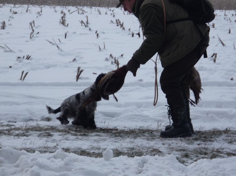 hon_konopiste (54).jpg